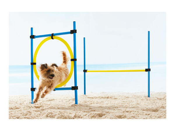 Zoofari Dog Agility Set