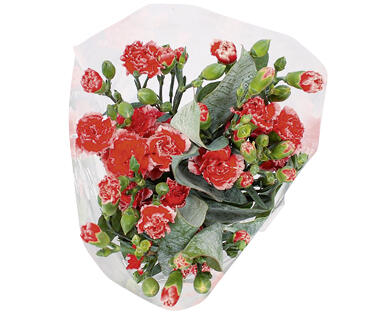 BOUQUET D'ŒILLETS SPRAY