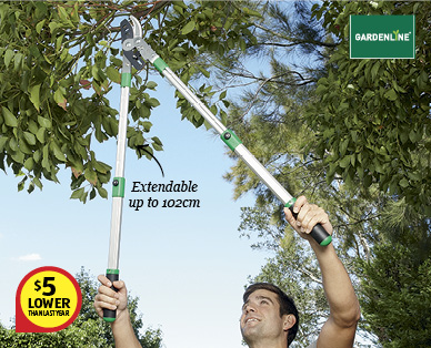 TELESCOPIC BYPASS LOPPER