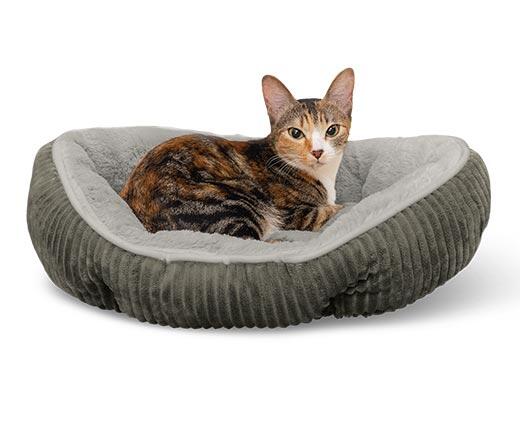 Heart to Tail Cat Bed Assortment
