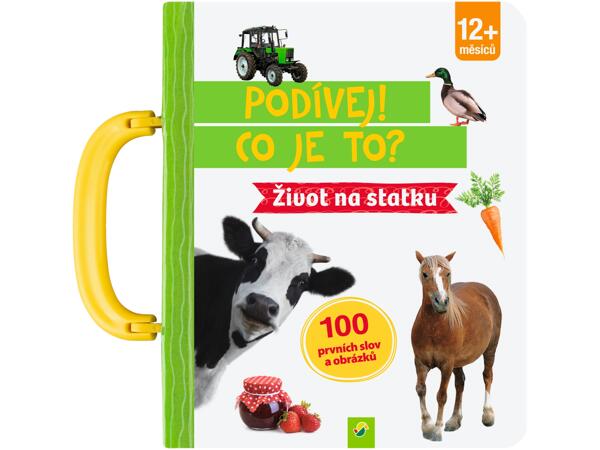DĚTSKÁ KNIHA