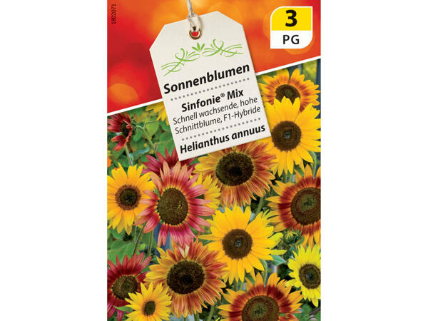 Assortiment de semences