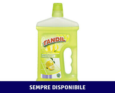 TANDIL 
 DETERGENTE MULTISUPERFICIE