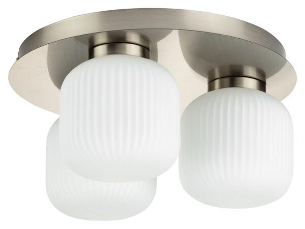 LED Ceiling Light