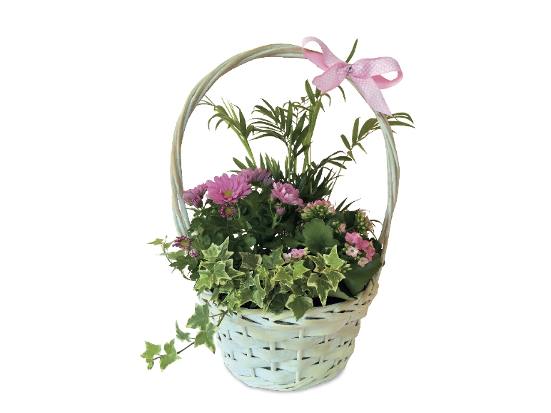 Mother's Day Basket
