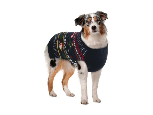 Dog Jumper