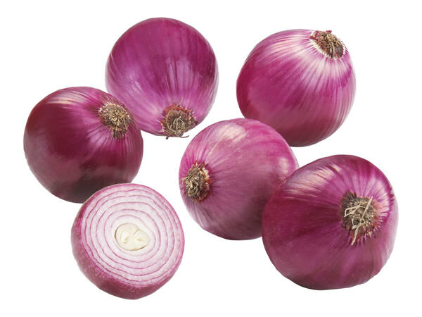 Österreichische Zwiebel rot