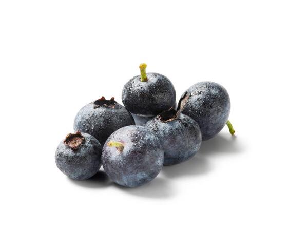 Blueberries XXL