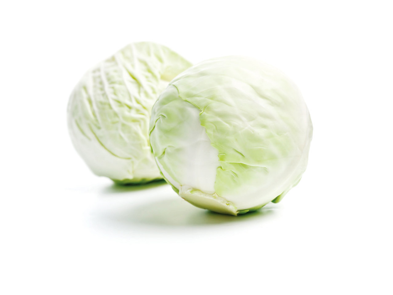 Chou blanc