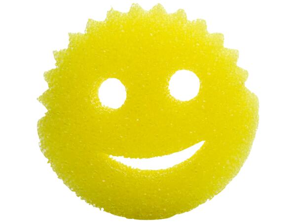 Sponge "Scrub Daddy", "Scrub Mommy" or "Damp Duster"