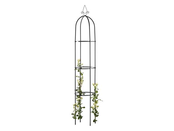 Garden Obelisk or Rose Arch
