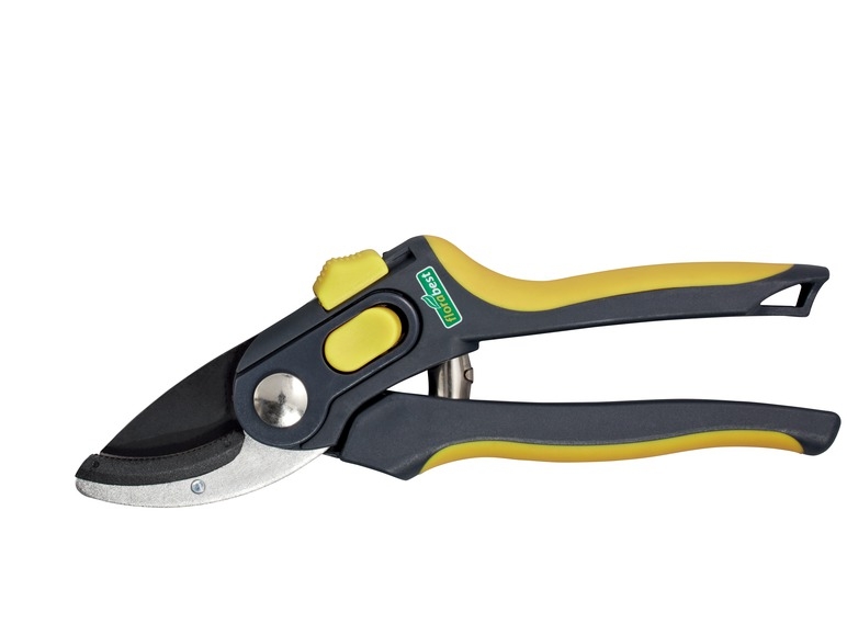 Bypass or Anvil Secateur