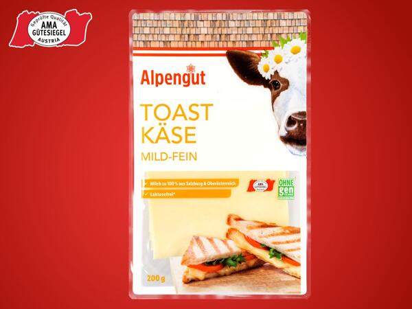 Toastkäse in Scheiben