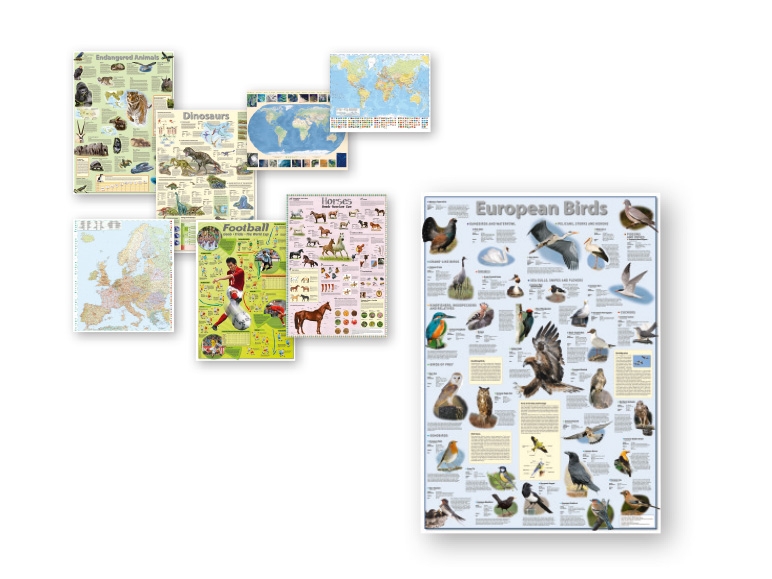 Wall Maps/Learning Poster