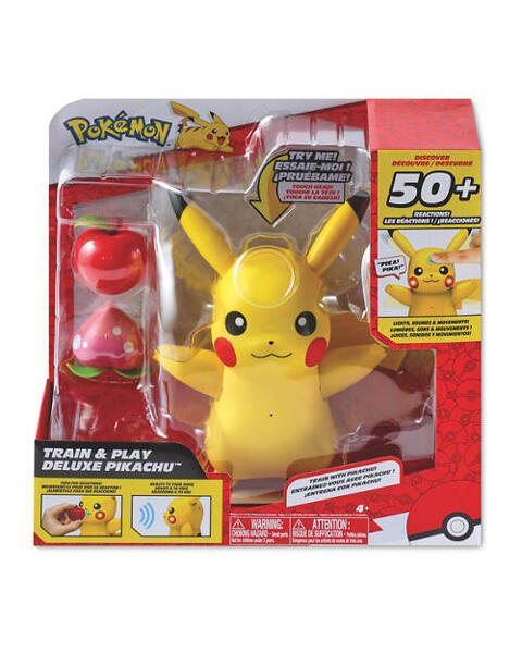 Pokemon Train and Play