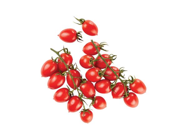 Datterino Tomatoes