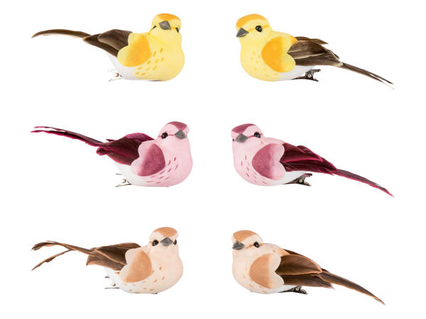 Decorative Clips