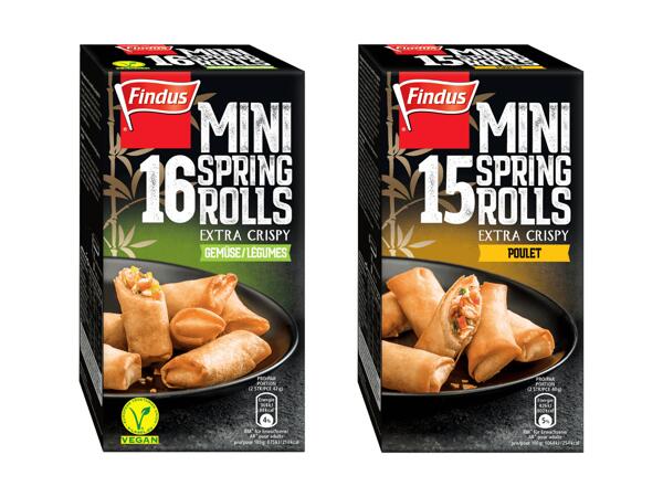 Mini rouleaux de printemps
