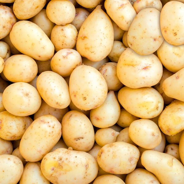 Speisekartoffeln