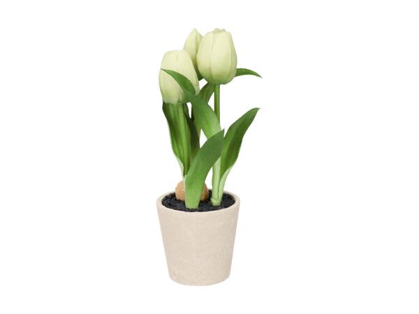 LIVARNO(R) Kunstige tulipaner i potte