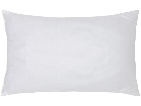 Anti-Allergy Pillows