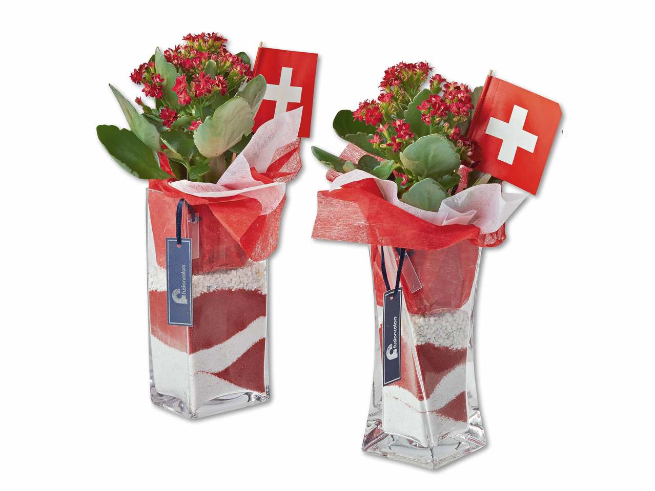 Kalanchoé dans un pot en verre avec fanion suisse