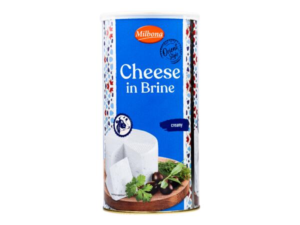Ost i saltlag