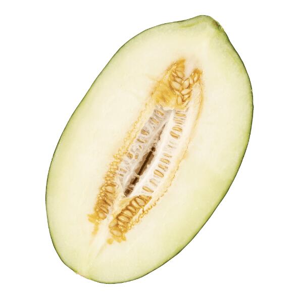 Melon piel de sapo