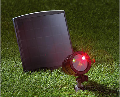 Solar Laser Light