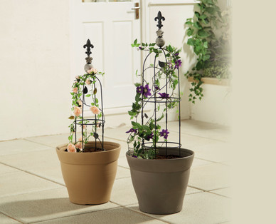 Garden Obelisk