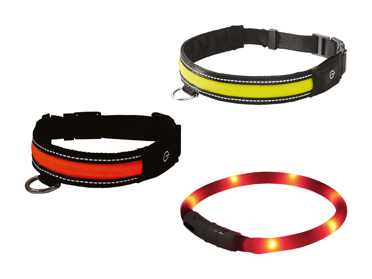 Collier à LED pour chien