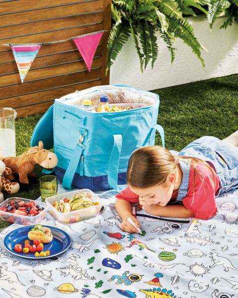 Adventuridge Picnic Cooler Bag