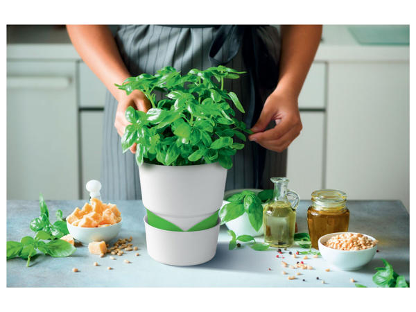 Herb and Plant Pot
