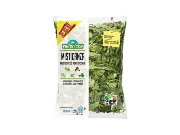 Mixed salad xxl