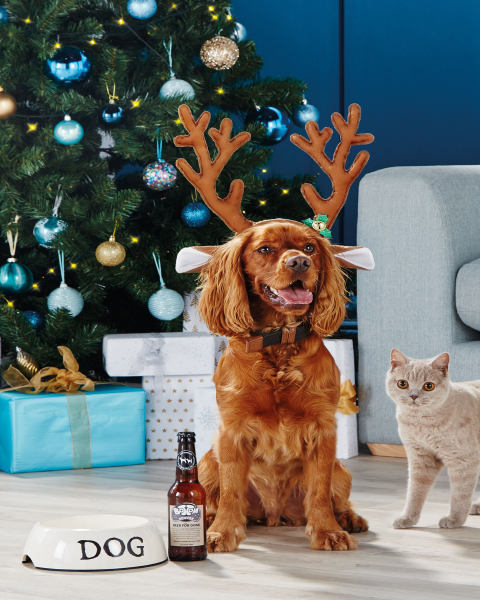 Bottom Sniffer Beer For Dogs