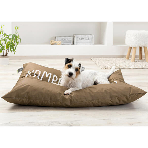 Hundekissen mit Spruch