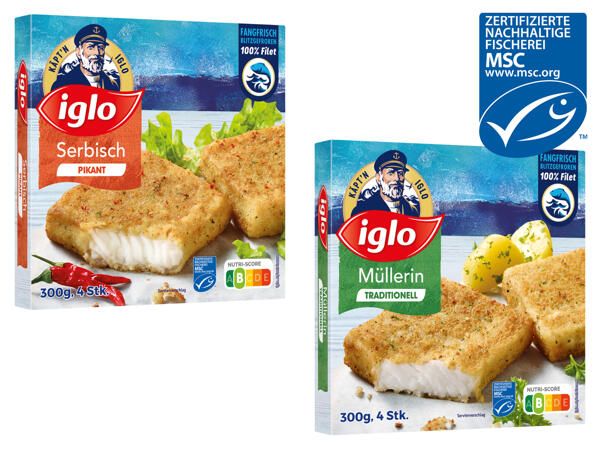 Iglo MSC Polardorsch