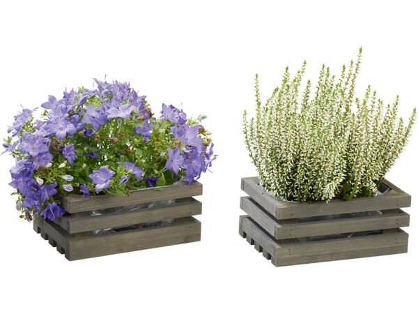 Wooden Planter Assortment