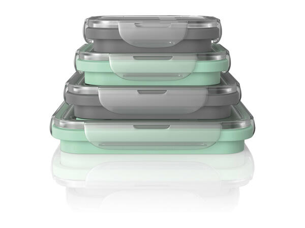 Ernesto Collapsible Storage Containers