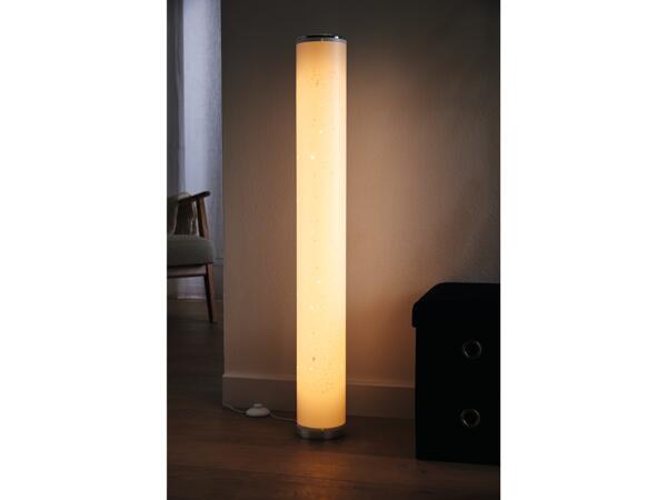 LED Floor Lamp