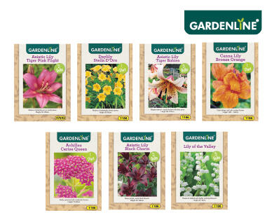 Packet Bulbs