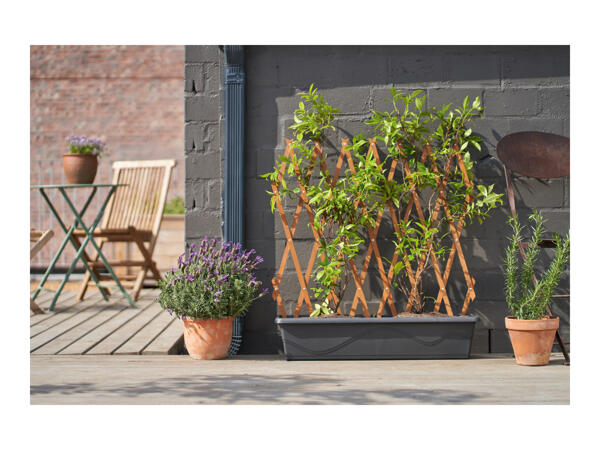 Parkside Expanding Wooden Trellis