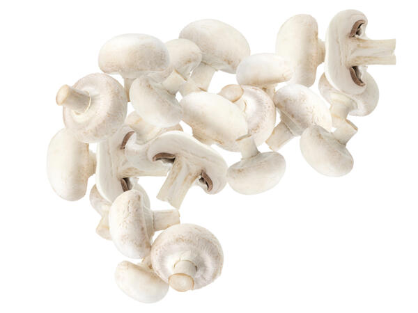 Champignons weiß