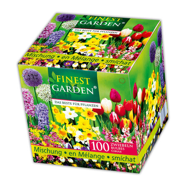 Blumenzwiebeln