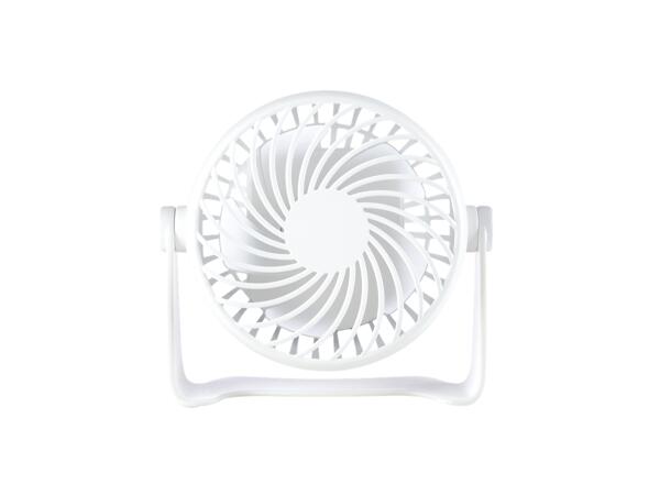 Portable Fan