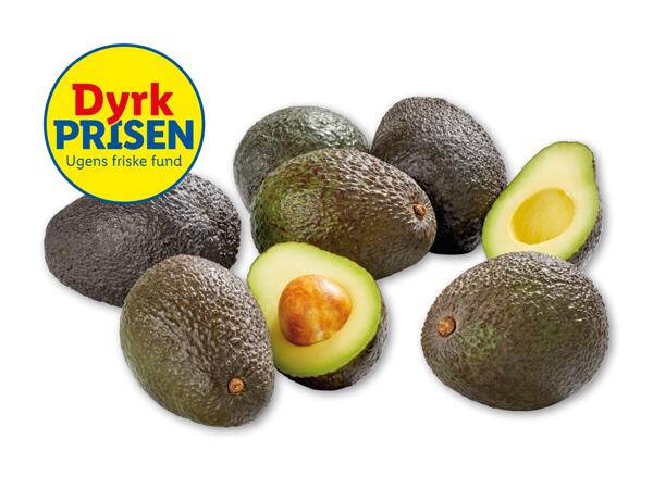 Avocado