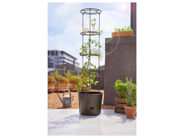 Tomato Planter