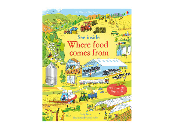 Usborne See Inside Children's Books