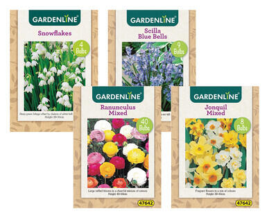 Assorted Packet Bulbs