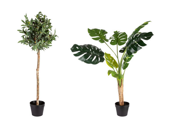 Plantes artificielles (uniquement en Suisse alémanique)